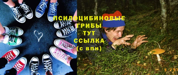 ГАЛЛЮЦИНОГЕННЫЕ ГРИБЫ Галич