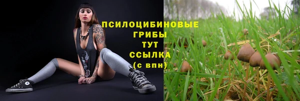 ГАЛЛЮЦИНОГЕННЫЕ ГРИБЫ Галич