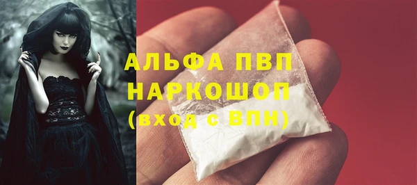 стаф Гатчина