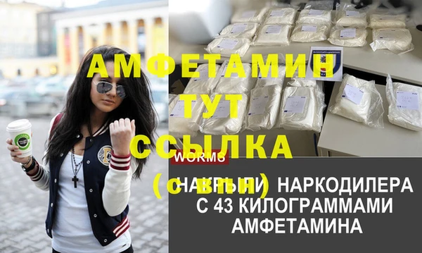 стаф Гатчина