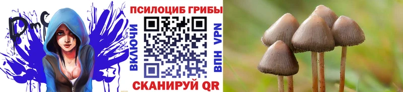 hydra ONION  Соликамск  Псилоцибиновые грибы MAGIC MUSHROOMS 