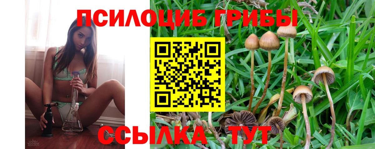 Галлюциногенные грибы Psilocybine cubensis  Вход с VPN  Псилоцибиновые грибы Psilocybe  Соликамск 