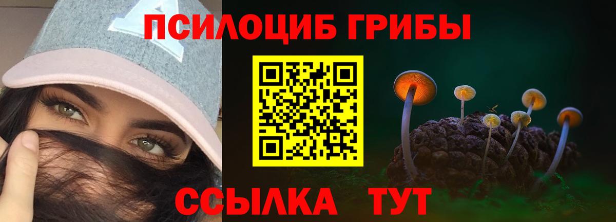 Псилоцибиновые грибы GOLDEN TEACHER Соликамск